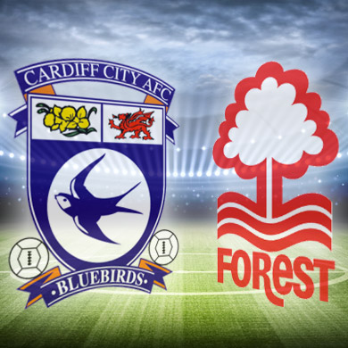 Cardiff - I pronostici degli esperti bonusvip sulle partite di premier league